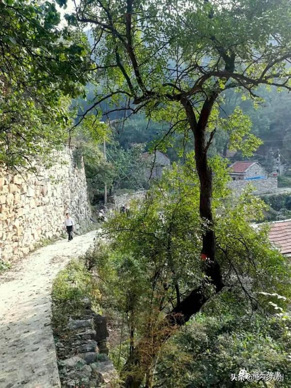 只有一戶人家的山村，如世外桃源般令人嚮往