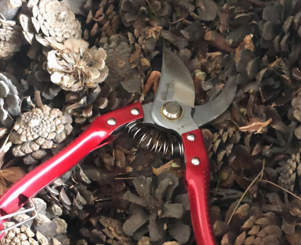 這&OpenCurlyDoubleQuote;三廢渣&rdquo;是養花寶，墊在盆底，提高肥力，根系還不易&OpenCurlyDoubleQuote;凍傷&rdquo;