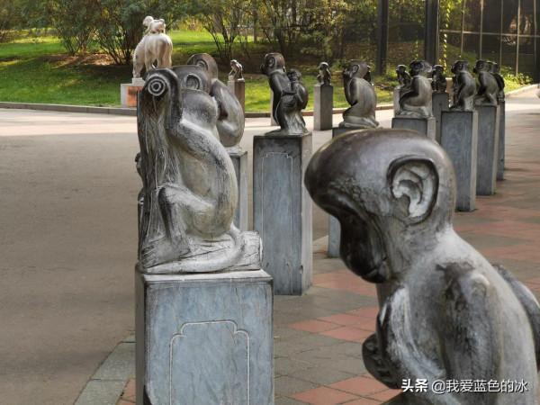 重遊北京動物園，覺得綠化美化比以前好了很多