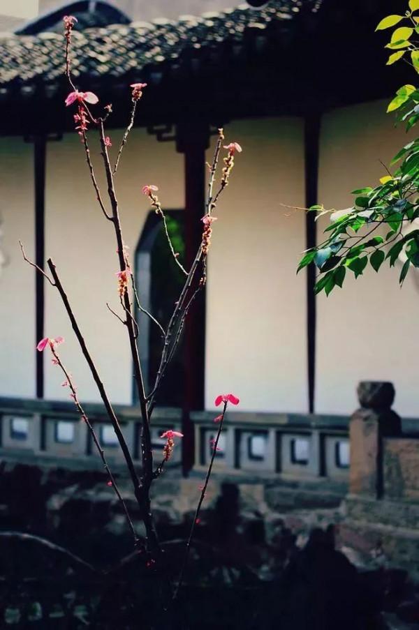 如果讓你選擇一句古詩詞來總結2021,哪句會跨越時光戳中你? 如果讓你選擇一句古詩詞來總結2021,哪句會跨越時光戳中你?