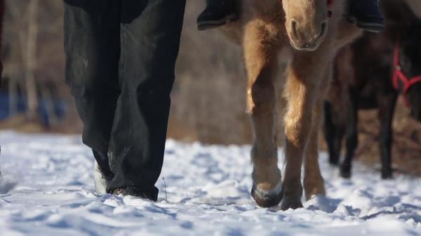 郭俊卿：14歲剃光頭參軍，5年不脫衣睡覺，身份曝光被毛主席接見