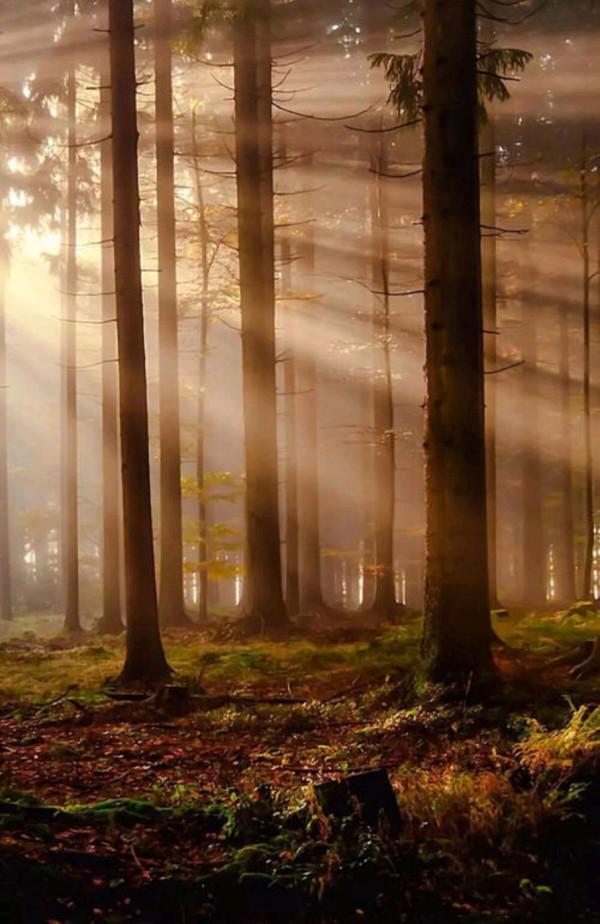 散文：人到中年，一種年齡，一種心境，一種領悟