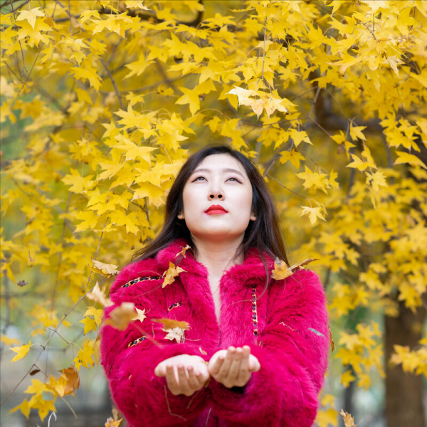 孫廣榮:秋日思懷 同學聚會 冷漠的《這條街》| 郭榮喜:秋葉頌 孫廣榮:秋日思懷 同學聚會 冷漠的《這條街》| 郭榮喜:秋葉頌