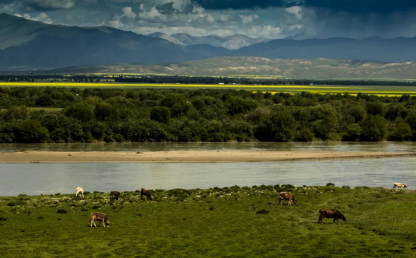 真正的新疆人給你獨庫公路「最全攻略」!純玩!不交智商稅 真正的新疆人給你獨庫公路「最全攻略」!純玩!不交智商稅