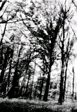 遠征軍連長用了一個巧妙辦法,解決了夜間行軍容易走散的問題 遠征軍連長用了一個巧妙辦法,解決了夜間行軍容易走散的問題