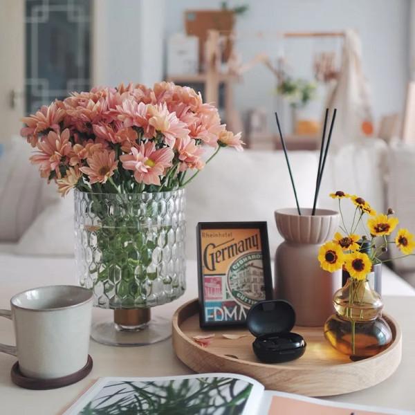 最推薦你買的花——小菊