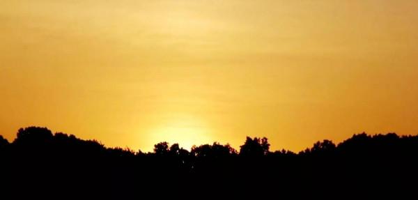 行動代號天馬虎，朝鮮人民軍第124軍奇襲青瓦臺之繼續潛伏