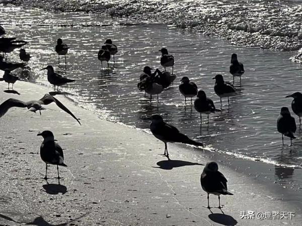 細白如銀｜翠霞帶你徜徉達Siesta Key 海灘