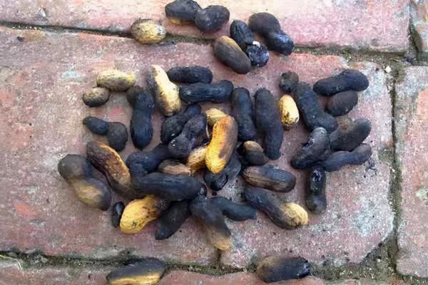 這些火燒出來的美食，你吃過嗎？