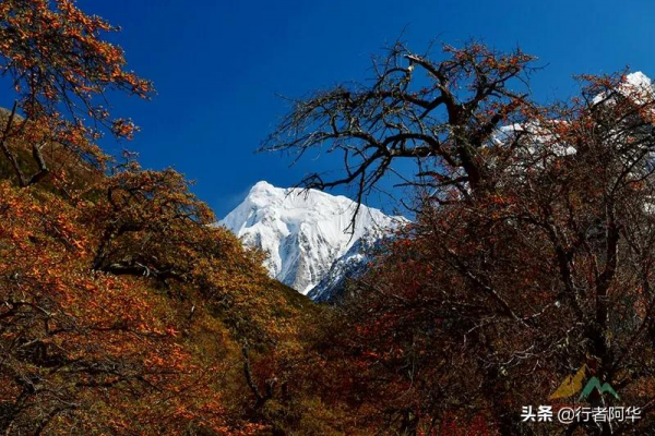 冬季去西藏怕高反，這條進藏線路攻略一定不能錯過