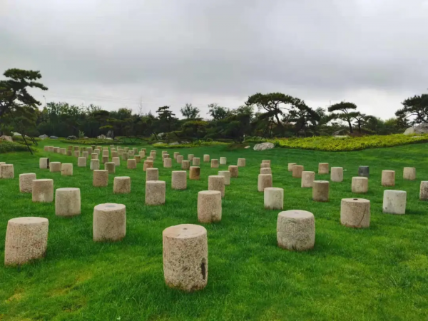 林業碳匯、文旅、養豬、元宇宙，園林上市公司哪個業務有“錢途”