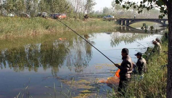 遲遲不來魚口不妨試試這兩招，興許情況就不一樣了（附解決方法）
