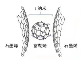 廈大“W教授”和他的“π-Lab”