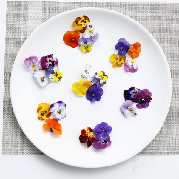 9種漂亮花,越冷越要曬太陽,控水薄肥,才能開得“奼紫嫣紅” 9種漂亮花,越冷越要曬太陽,控水薄肥,才能開得“奼紫嫣紅”