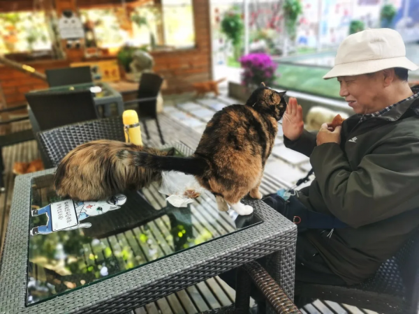 “GFgirls”三小隻 · 申請出道