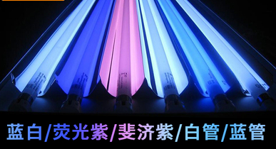 簡單玩海缸第二章,海缸燈具的選擇 簡單玩海缸第二章,海缸燈具的選擇