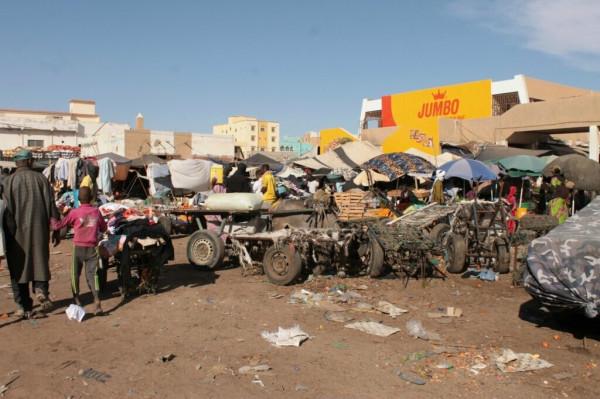 漫步茅利塔尼亞市場,感受非洲的輝煌 漫步茅利塔尼亞市場,感受非洲的輝煌