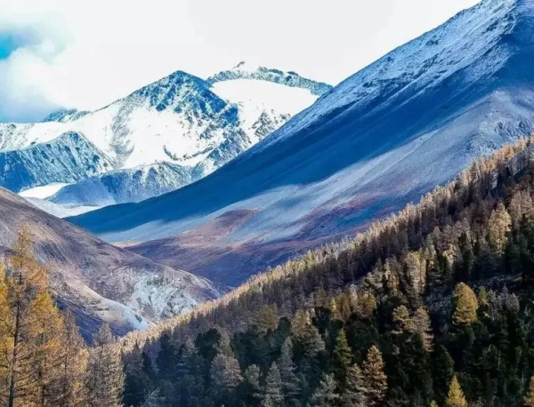 現實版《東方快車》竟是中國最豪華的火車！三萬元一張票