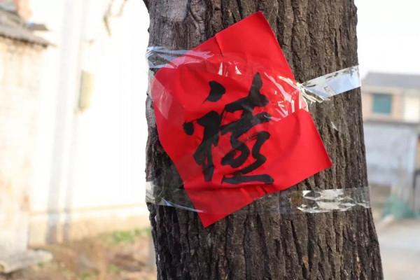 臨西老家農村坐席時拍下的！傳到網上火了