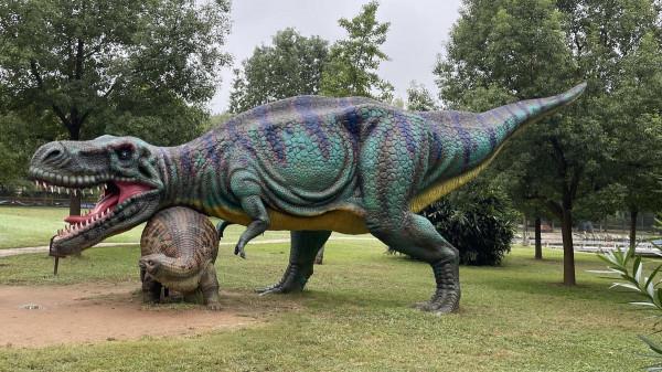 明天開始，這兩個景區免門票一個月