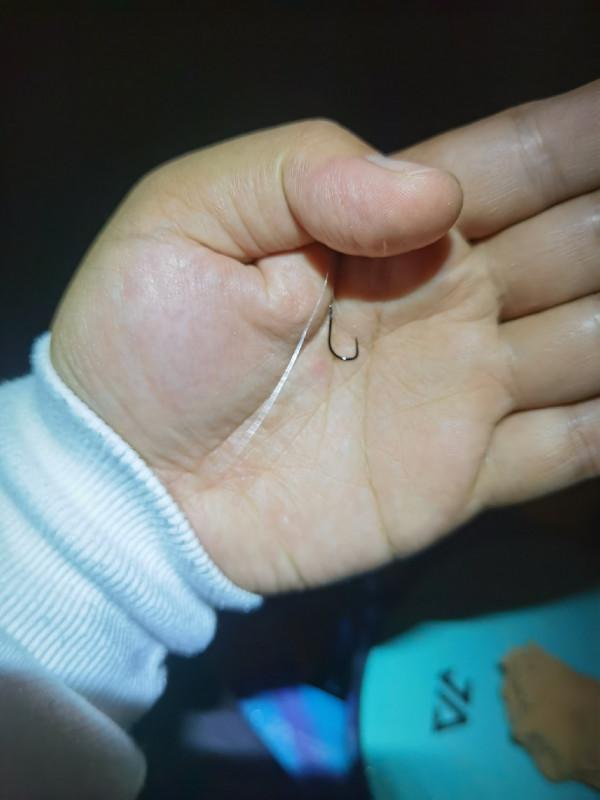 中魚切線始終是一種遺憾但也是釣魚的魅力所在，最終擒獲巨型羅非