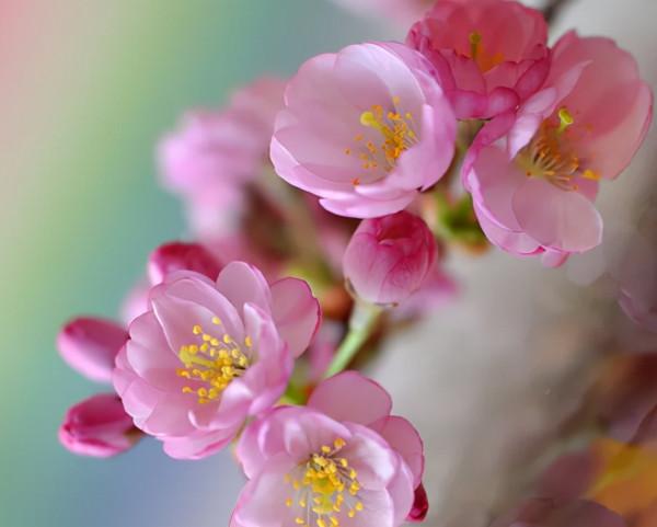 善待慢慢老去的自己 善待慢慢老去的自己