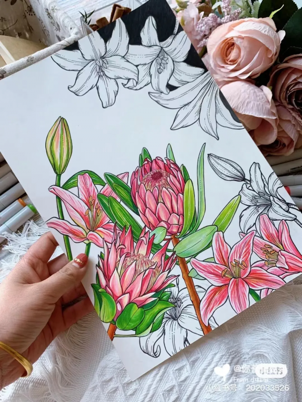 頂級創意線描,張張精緻走心,不收藏太可惜了 頂級創意線描,張張精緻走心,不收藏太可惜了