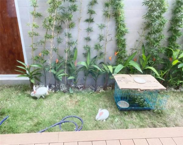 日本90後女孩的100㎡複式小家,乾淨到一塵不染!網友:太嚮往了 日本90後女孩的100㎡複式小家,乾淨到一塵不染!網友:太嚮往了