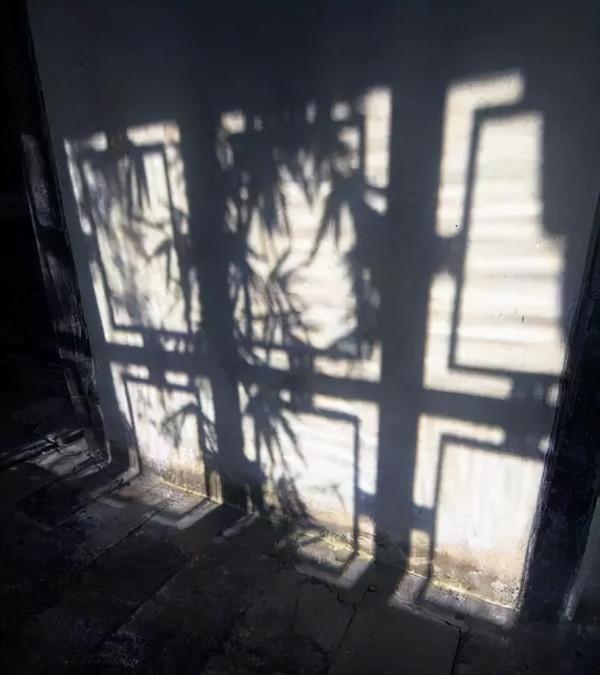 紅木整裝 | 明月裝飾你的窗，我們裝飾你的家