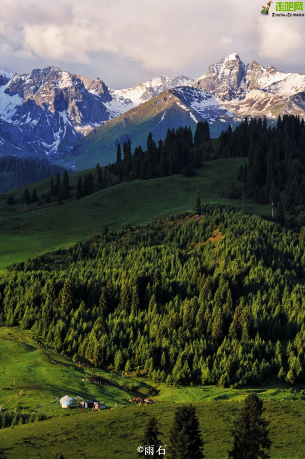 1028名日本人報名遊新疆？新疆顏值實錘了，一年四季，美麗不停歇