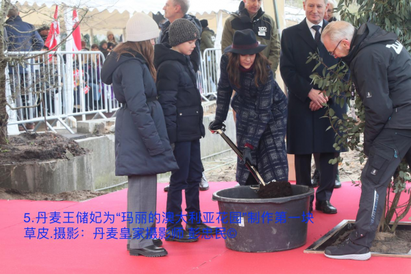 丹麥王儲妃為&OpenCurlyDoubleQuote;瑪麗的澳大利亞花園&rdquo;製作第一塊草皮