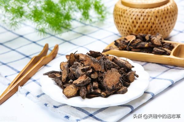 結石?送你三味中藥,清熱利溼,散結消石,不來了解下嗎? 結石?送你三味中藥,清熱利溼,散結消石,不來了解下嗎?