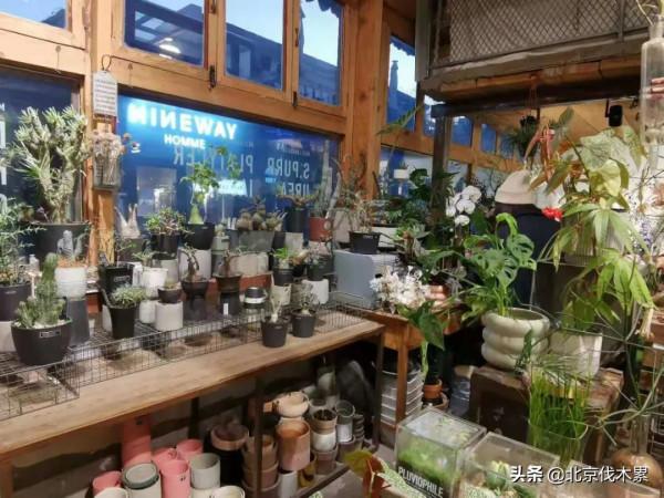 轉角遇見秘密花園,是冬日最幸運的事情之一 轉角遇見秘密花園,是冬日最幸運的事情之一