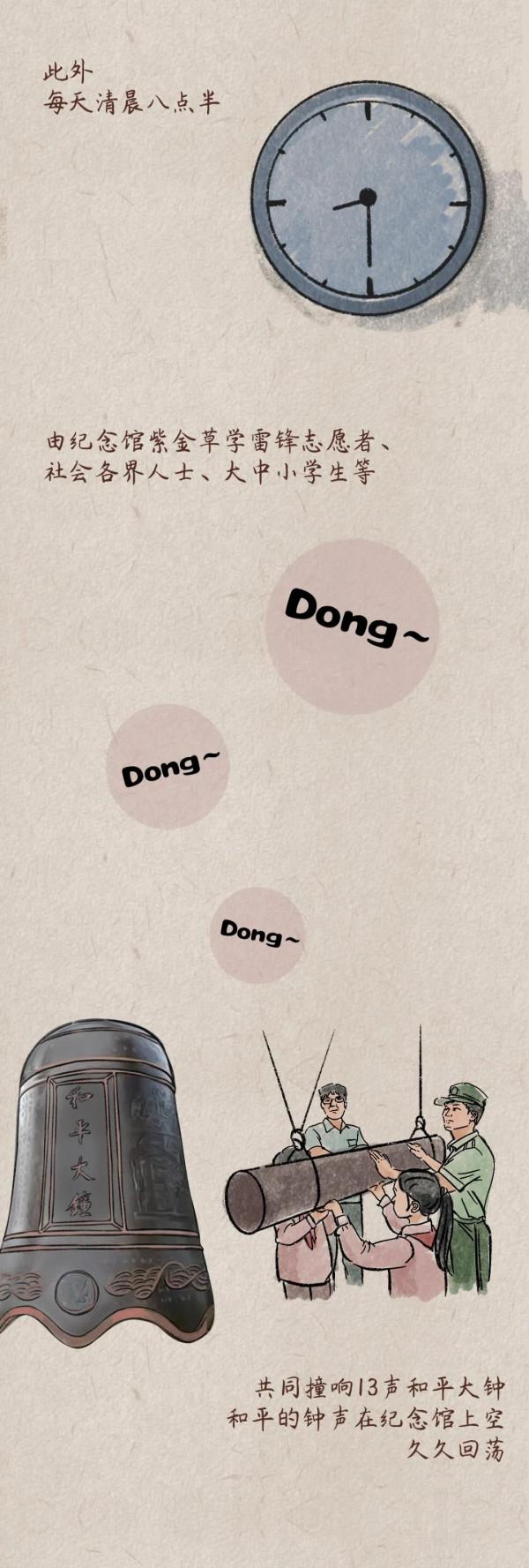 一朵紫金草的和平之旅 一朵紫金草的和平之旅