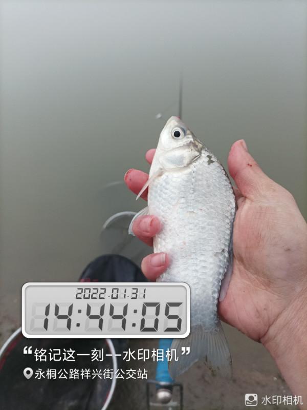 新年新氣象，虎年首釣完美爆護