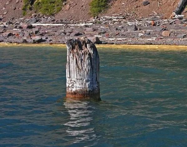 世界奇聞收錄,一隻動物狒狒成為了鐵路工人 世界奇聞收錄,一隻動物狒狒成為了鐵路工人