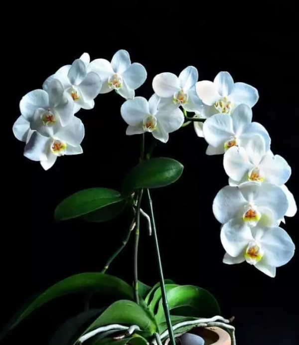 中國的“十大”，快來看看...