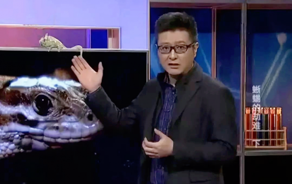 當年風靡一時如今被停播的10個綜藝,有的倍受懷念,有的咎由自取 當年風靡一時如今被停播的10個綜藝,有的倍受懷念,有的咎由自取