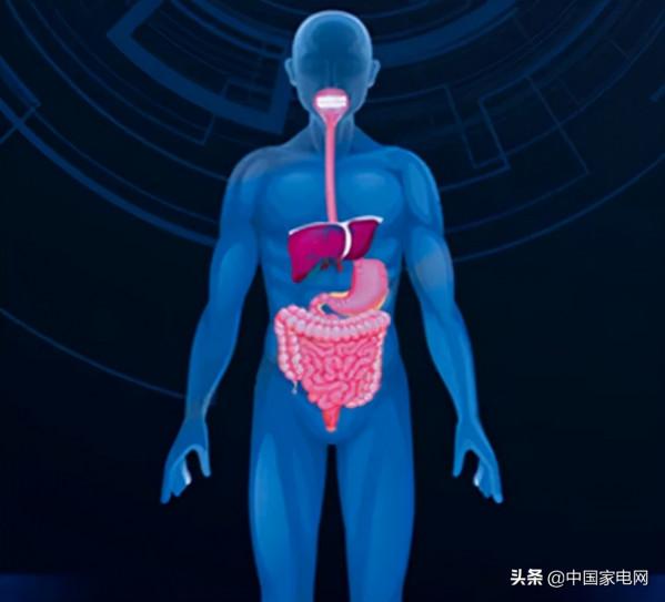 生命質量 科技保障舒適家電有千億藍海 生命質量 科技保障舒適家電有千億藍海