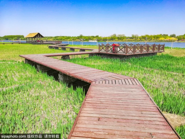 部分免費！北京賞秋“價效比”最高選擇都在這兒了！