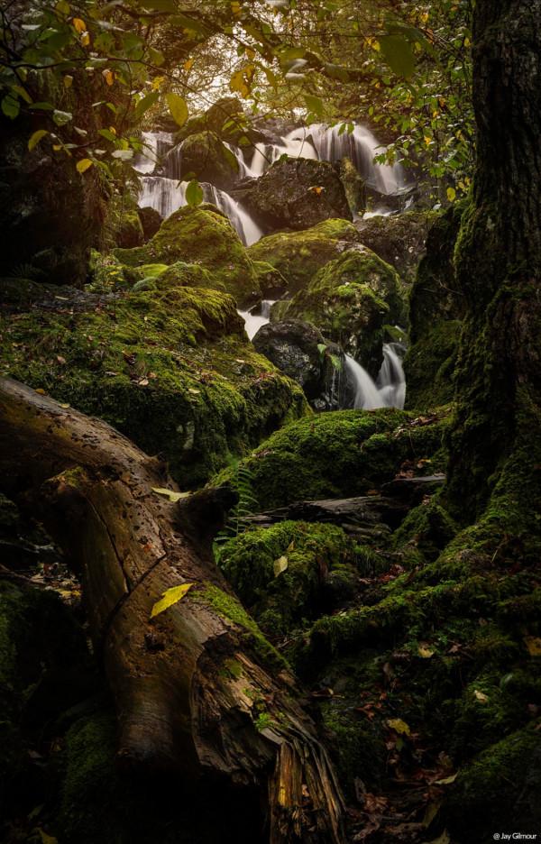 森養SAMYANG 正式釋出AF 50mm F1.4 二代 FE卡口