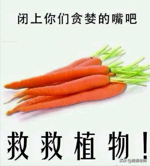 為什麼非要吃素?捋一捋,印度的那些“世代吃素”的群體 為什麼非要吃素?捋一捋,印度的那些“世代吃素”的群體