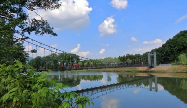 芒果臺新綜藝捧紅另類網紅，獲得央媒誇讚，為行業樹立新標杆