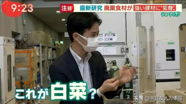 用白菜蓋房子，當作建材是混凝土的４倍，不但環保還可以拿來吃？