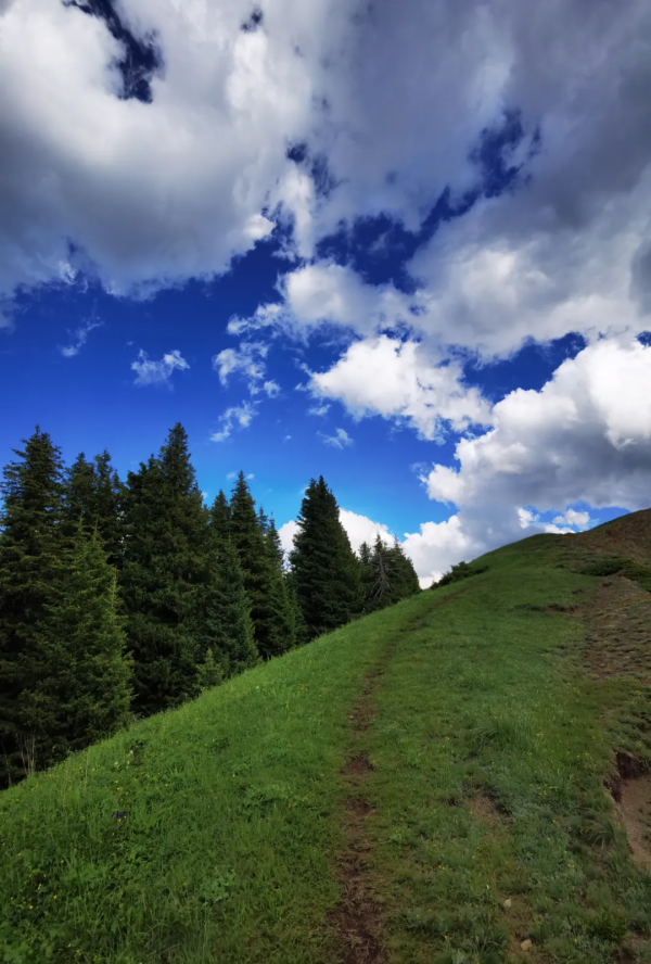 天山草原——伊犁河谷