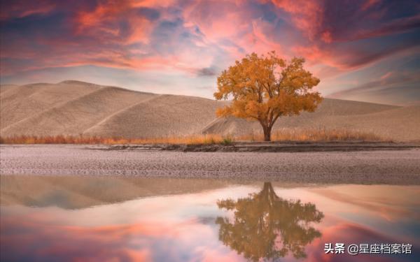 善良可愛的星座，愛笑的人運氣不會差，走到哪裡都會被善待