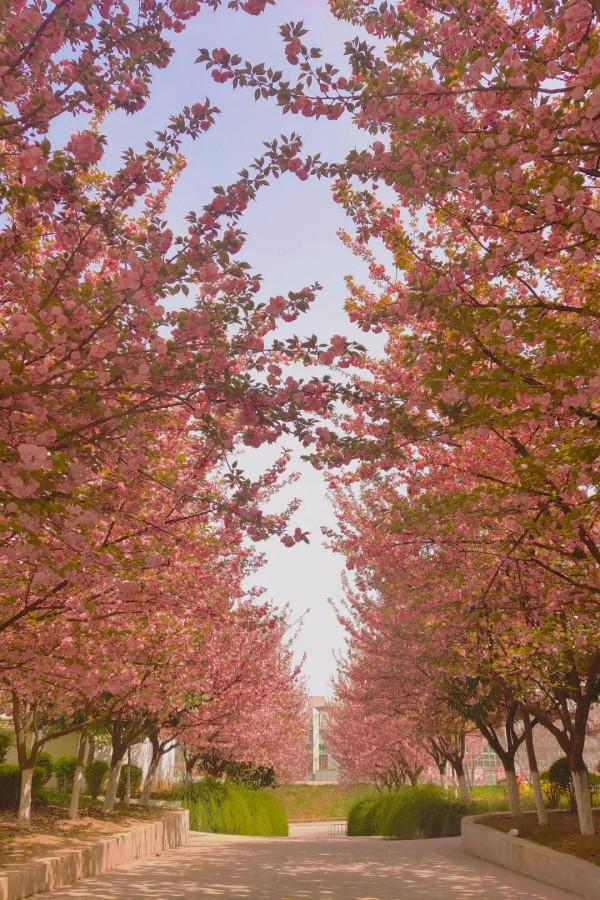 學生黨準備化妝,需要哪些必備化妝品呢? 學生黨準備化妝,需要哪些必備化妝品呢?