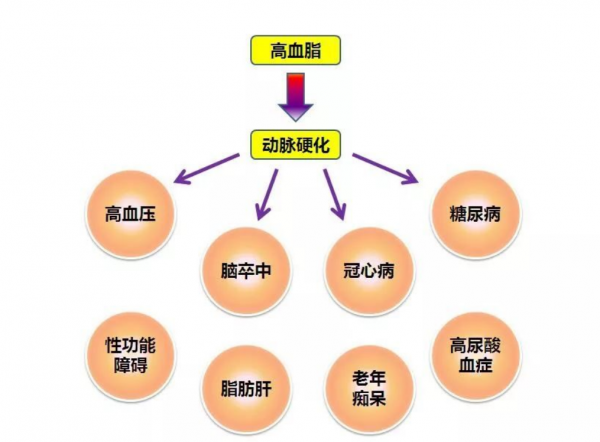 碳水化合物是高血脂的“催化劑”嗎?醫生:除了糖,這3物要忌口 碳水化合物是高血脂的“催化劑”嗎?醫生:除了糖,這3物要忌口