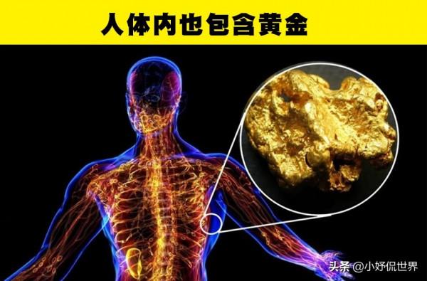 人體內也包含黃金?生活中的7個可能讓你想不到的科學知識 人體內也包含黃金?生活中的7個可能讓你想不到的科學知識