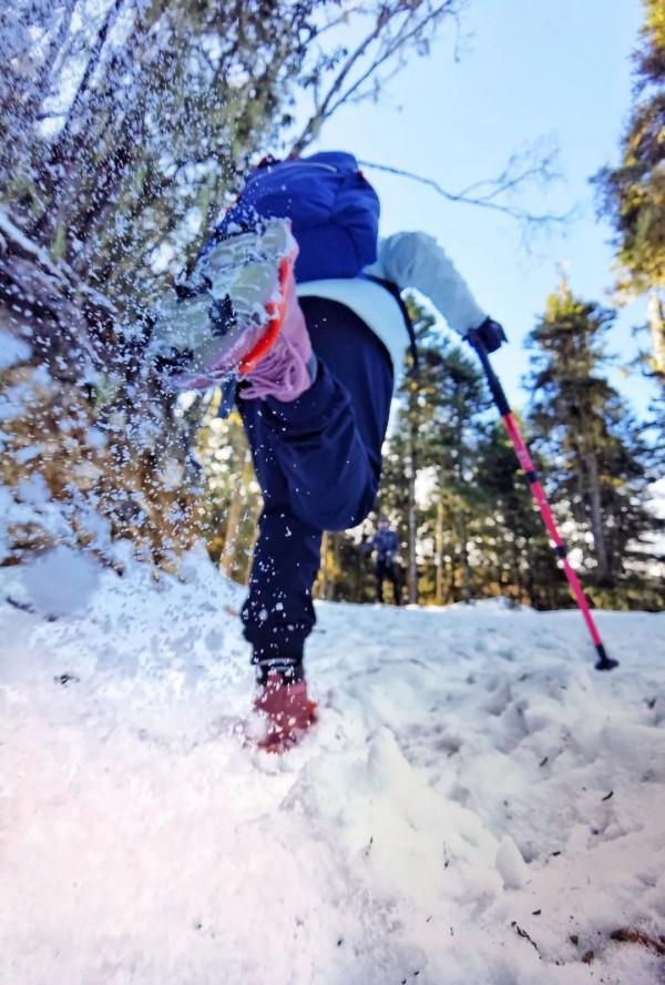 好訊息！雲南恢復跨省遊！你的詩和遠方可以安排了